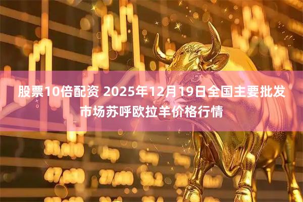 股票10倍配资 2025年12月19日全国主要批发市场苏呼欧拉羊价格行情